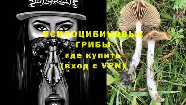 спайс Гусев