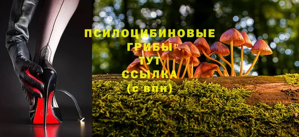 альфа пвп Гусиноозёрск
