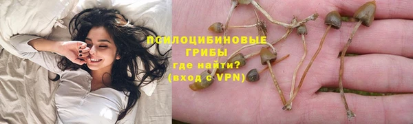 альфа пвп Гусиноозёрск