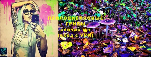 альфа пвп Гусиноозёрск
