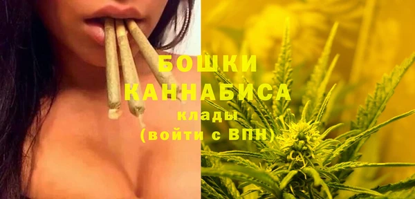 прущий лед Бердск